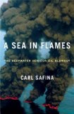 Sea in Flames The Deepwater Horizon Oil Blowout  9780307887351 Front Cover