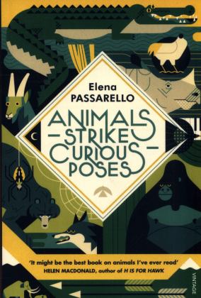 Animals Strike Curious Poses  9781784707354 Front Cover
