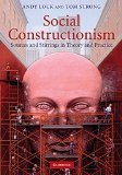 Social Constructionism Sources and Stirrings in Theory and Practice cover art