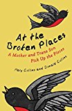 At the Broken Places A Mother and Trans Son Pick up the Pieces  9780807088357 Front Cover
