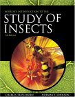 Borror and Delong's Introduction to the Study of Insects 7th 2004 Revised  9780030968358 Front Cover