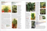 Complete Guide to Houseplants 2008 9780696236358 Front Cover