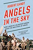 Angels in the Sky How a Band of Volunteer Airmen Saved the New State of Israel  9780393356359 Front Cover