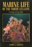 Marine Life of the North Atlantic Canada to Cape May cover art