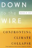 Down to the Wire Confronting Climate Collapse cover art