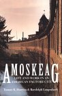 Amoskeag Life and Work in an American Factory-City cover art