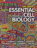 Essential Cell Biology: 