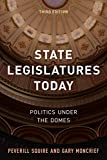 State Legislatures Today Politics under the Domes 3rd 9781538123362 Front Cover
