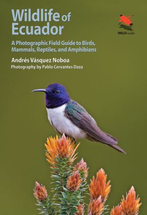 Wildlife of Ecuador A Photographic Field Guide to Birds, Mammals, Reptiles, and Amphibians  9780691161365 Front Cover