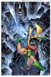 Robin the Boy Wonder A Celebration of 75 Years cover art