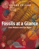Fossils at a Glance  cover art