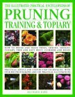 Illustrated Practical Encyclopedia of Pruning, Training and Topiary How to Prune and Train Trees, Shrubs, Hedges, Topiary, Tree and Soft Fruit, Climbers and Roses 2005 9780754815372 Front Cover
