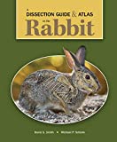 Dissection Guide and Atlas to the Rabbit  9781617319372 Front Cover
