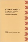 What Can Tribes Do? : Strategies and Institutions in American Indian Economic Development 1st 9780935626377 Front Cover