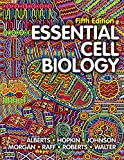 Essential Cell Biology:  9780393680379 Front Cover