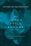 Lotus Still Blooms Sacred Buddhist Teachings for the Western Mind 2008 9781585426379 Front Cover