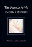 Female Pelvis : Anatomy and Exercises