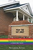 Pray the Gay Away The Extraordinary Lives of Bible Belt Gays cover art