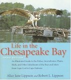Life in the Chesapeake Bay  cover art