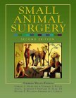 Small Animal Surgery 2nd 9780323012386 Front Cover
