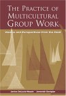 Practice of Multicultural Group Work Visions and Perspectives from the Field cover art