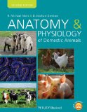 Anatomy and Physiology of Domestic Animals  cover art