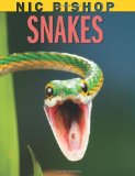 Nic Bishop: Snakes  cover art