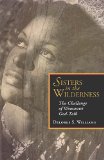 Sisters in the Wilderness The Challenge of Womanist God-Talk