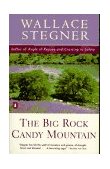 Big Rock Candy Mountain 1991 9780140139396 Front Cover
