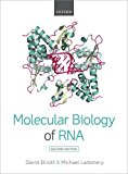 Molecular Biology of RNA 2nd 9780199671397 Front Cover