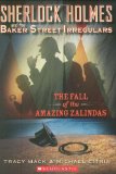 Fall of the Amazing Zalindas  cover art