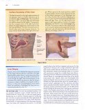 Clinically Oriented Anatomy 5th 9780781736398 Front Cover