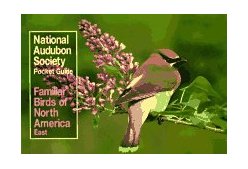 National Audubon Society Pocket Guide to Familiar Birds: Eastern Region Eastern cover art