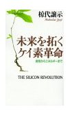 Silicon Revolution 1999 9781583481400 Front Cover