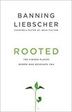Rooted The Hidden Places Where God Develops You  9781601428400 Front Cover