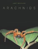 Arachnids  cover art