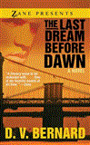 Last Dream Before Dawn A Novel 2012 9781593091408 Front Cover