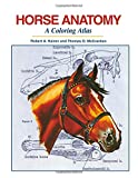 Horse Anatomy A Coloring Atlas  9781617812408 Front Cover