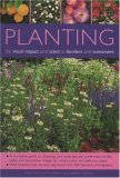 Planting for Visual Impact and Scent in Borders and Containers 2006 9781844762408 Front Cover