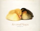 Animal Naps 2011 9780983201410 Front Cover