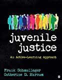 Juvenile Justice An Active-Learning Approach  9781544300412 Front Cover