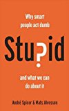 Stupidity Paradox The Power and Pitfalls of Functional Stupidity at Work  9781781255414 Front Cover