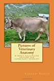 Pictures of Veterinary Anatomy A Short Illustrated Anatomy for Veterinary Students 2013 9781482731415 Front Cover