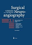 Surgical Neuroangiography Vol. 2: Clinical and Endovascular Treatment Aspects in Adults 2nd 9783642623417 Front Cover