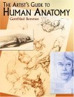 Artist's Guide to Human Anatomy  cover art