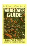 Newcomb&#39;s Wildflower Guide 
