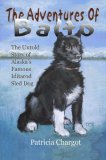 Adventures of Balto The Untold Story of Alaska's Famous Iditarod Sled Dog 2006 9781594330421 Front Cover