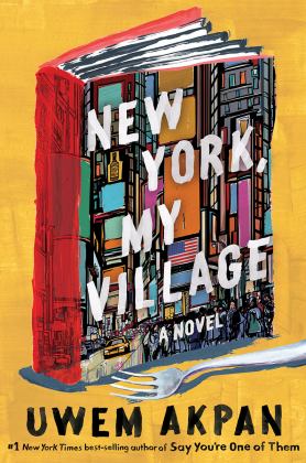 New York, My Village A Novel  9780393881424 Front Cover