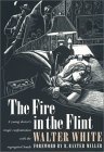 Fire in the Flint  cover art