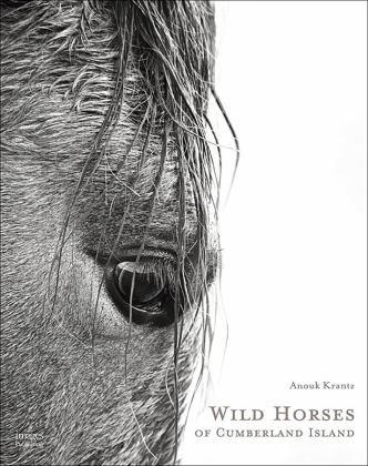 Wild Horses of Cumberland Island 2017 9781864707427 Front Cover